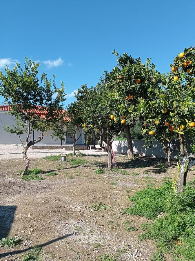 Avocado House Vila Finikounta Exterior foto