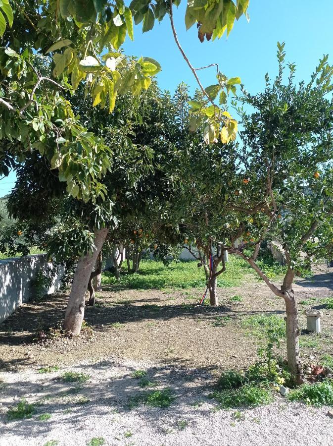 Avocado House Vila Finikounta Exterior foto