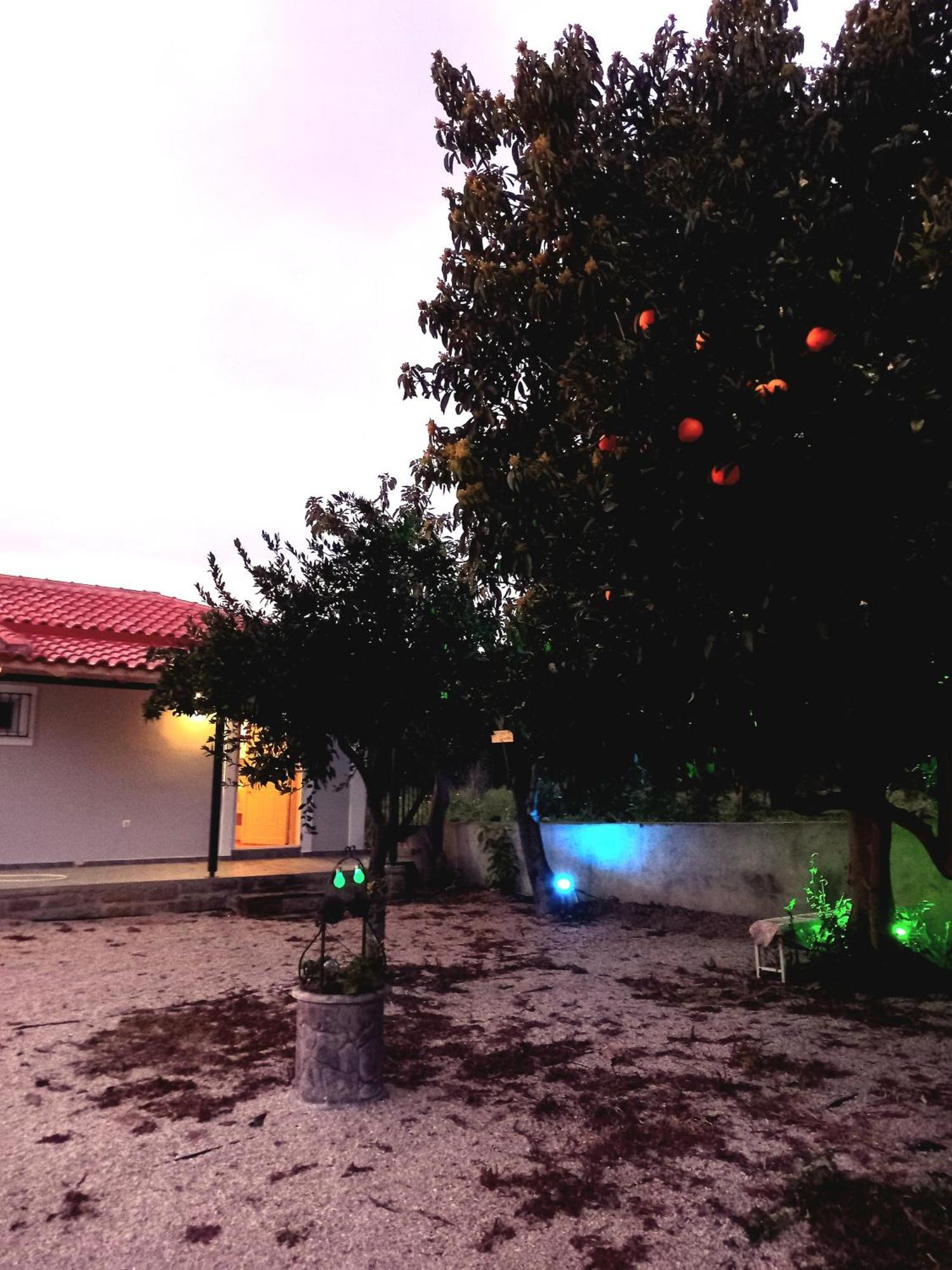 Avocado House Vila Finikounta Exterior foto
